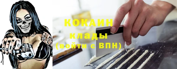 индика Армянск