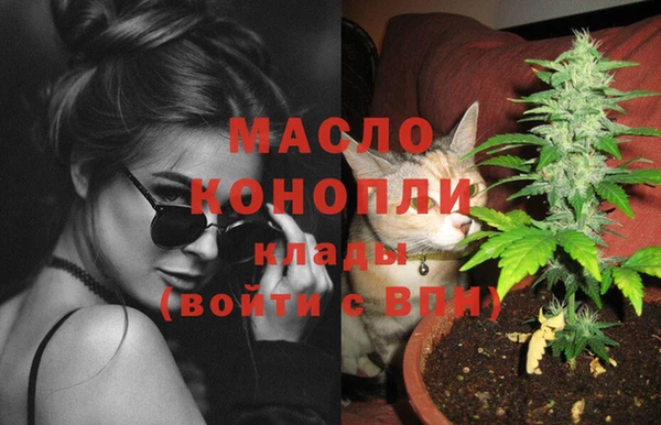 прущие грибы Михайловск