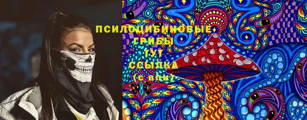 индика Армянск